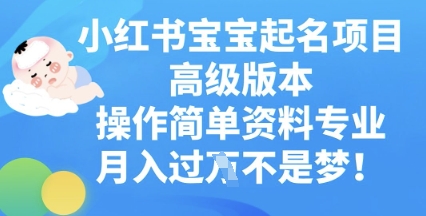 小红书宝宝起名项目高级版本，操作简单，资料专业，月入过W-东方学社-专注互联网创业,知识付费,副业轻创